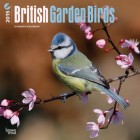British Garden Birds 2015 Wall