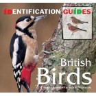 British Birds: Identification Guide (Identification Guides)