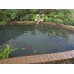 Blagdon Clearview Pond Cover Net - 4m x 3m