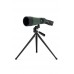 Celestron 52322 12-36 x 60 Landscout Spotting Scope - Green