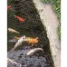 Good Ideas Pondguard Fish Pond Net Protection Interlocking Rings (1135) Protect your pond from Herons, Cats and Predators.