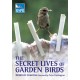 The Secret Lives of Garden Birds