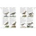 RSPB Complete Birds of Britain and Europe