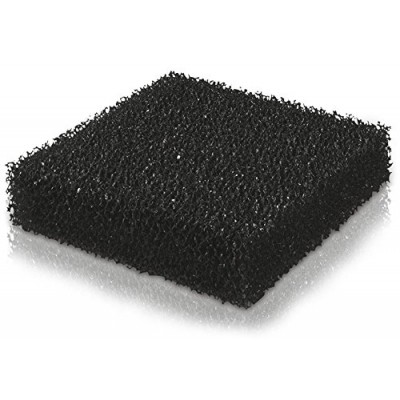 Jewel Carbon Sponge Jumbo