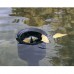 Oase AquaSkim 20 Pond Surface Skimmer