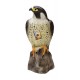 Defenders Decoy Falcon (Life-Like Bird of Prey, Deters Bird and Animal Pests such as Pigeons from Garden Areas), 14 inch (35.5 cm)