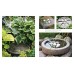 Concrete Garden Projects: Easy & Inexpensive Containers, Furniture, Water Features & More