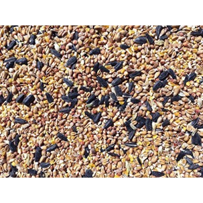 Wild Bird Food 25kg